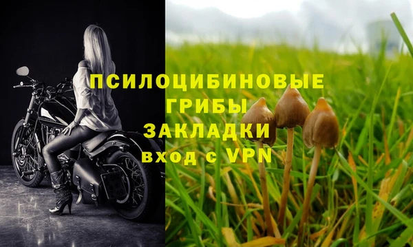 стафф Верея